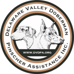 Delaware Valley Doberman Pinscher Assistance, Inc.