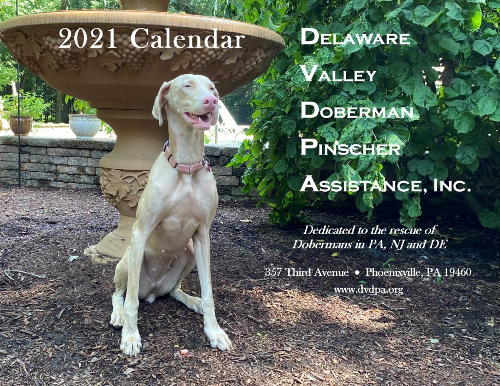 2021 DVDPA Calendar