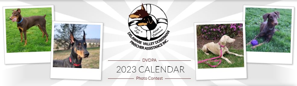 dvdpa calendar contest 2022