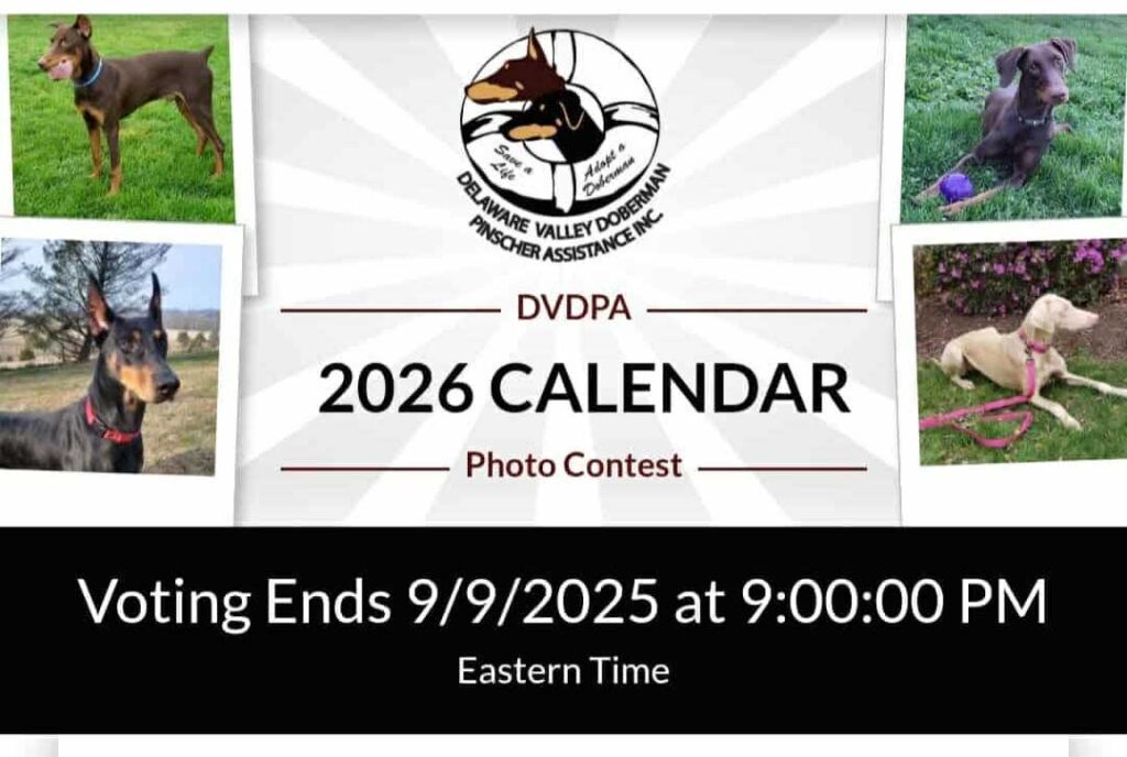 dvdpa 2026 calendar