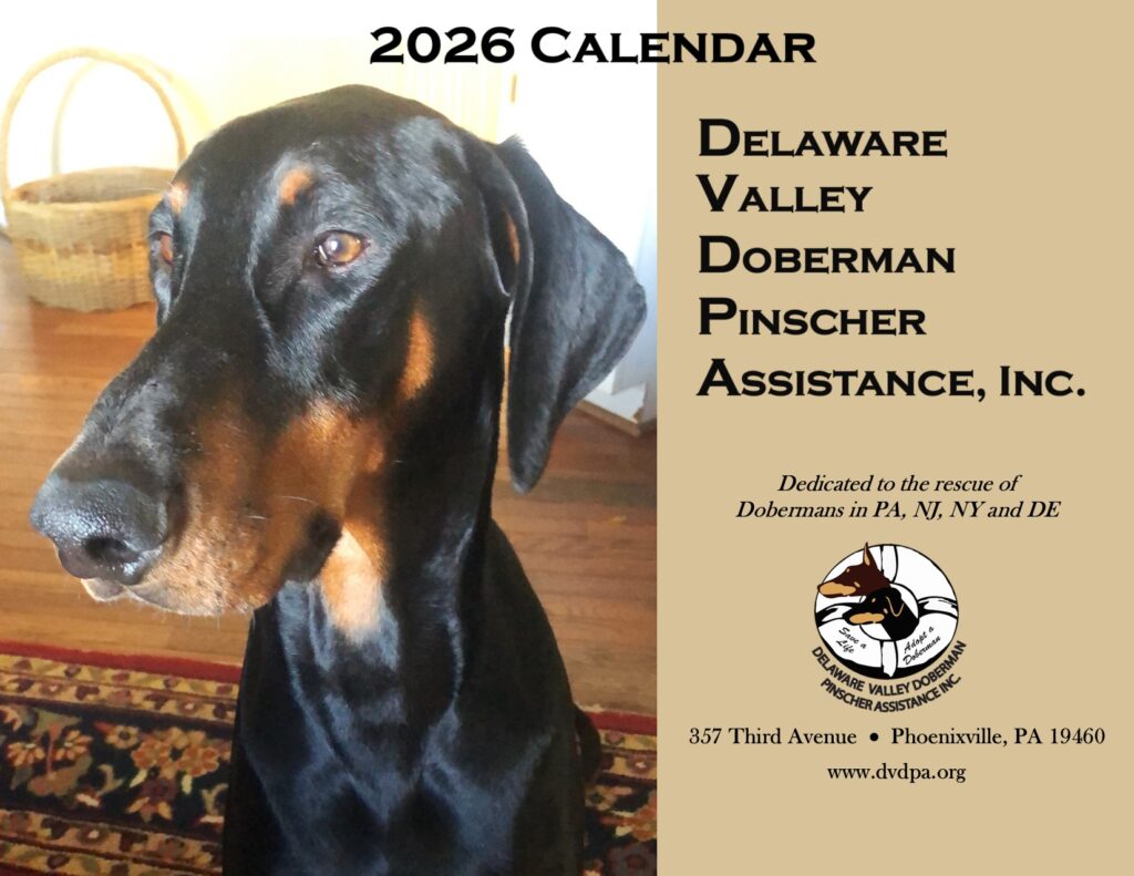 2026 DVDPA Rescue Calendars
