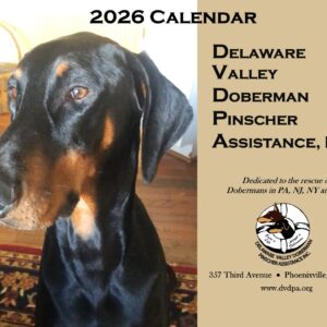 2026 DVDPA Calendar