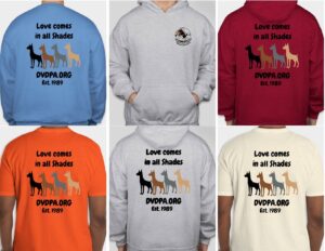 Sweatshirts DVDPA