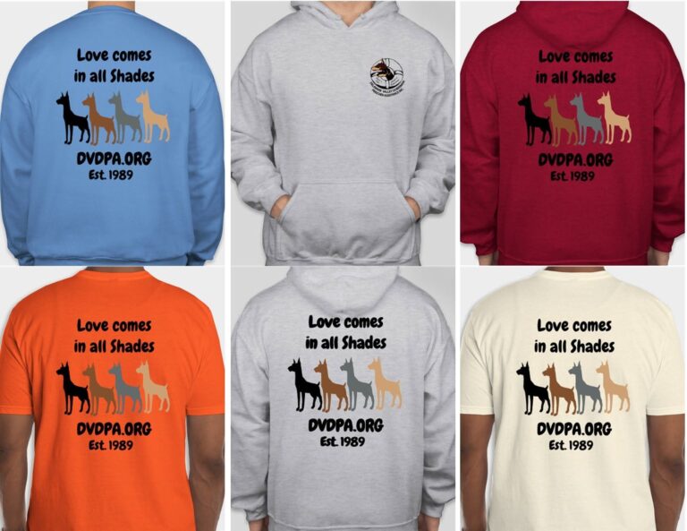 Sweatshirts DVDPA